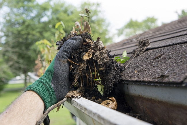 Photo inspiration: Fresh Look at Summer Gutter Care Urged By James Wilson Gutter Cleaning And